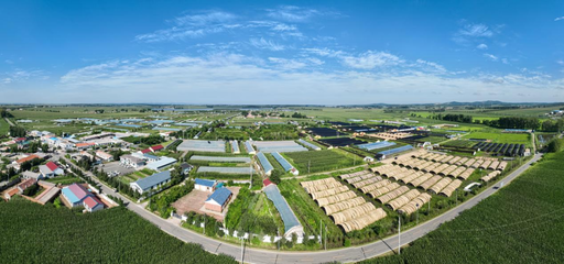 長春市現(xiàn)代菌物產(chǎn)業(yè)科技成果轉(zhuǎn)化示范基地揭牌，首屆中國（長春）靈芝孢子粉采收節(jié)盛大啟幕