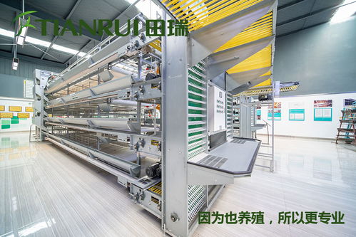 重慶全自動(dòng)蛋雞養(yǎng)殖設(shè)備特價(jià)批發(fā)田瑞牧業(yè)——跨界融合中的機(jī)遇與挑戰(zhàn)